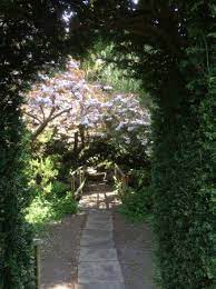 Последние твиты от the secret garden (@secretgardencrk). The Secret Garden Picture Of Groombridge Place Gardens Tripadvisor