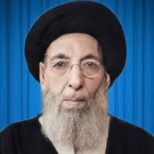 الامام الرضا عليه السلام