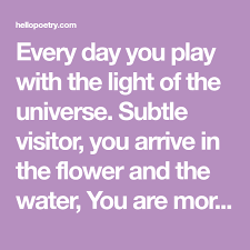 Every Day You Play With The Light Of The Universe Subtle Visitor You Arrive In The Flower And The Water You Are More Than This White Hea Day Subtle Everyday