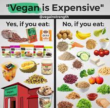 Pin Von Anica Auf Rezepte Ernahrung Vegan Fitness