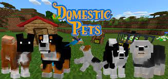 These are the best mods you can play with in terraria. Domesticpets Minecraft Pe Mods Addons