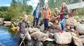 Politicians Call for Fishways to Save Ljungan Salmon