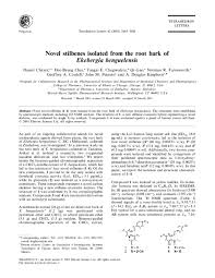 Image result for Ekebergia benguelensis