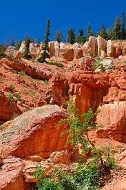 Dixie National Forest Utah Caves And Hikes California Beach Camping Breathtaking Places National Forest