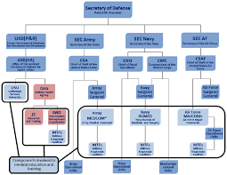 Governance Structure Of The Military Health System