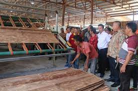 Tumbuh raya sejahtera akan selalu memberikan pelayanan. Perusahaan Di Barito Utara Bangun Pabrik Veneer Antara News