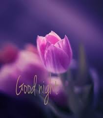 Leaving bed has become the hardest thing for me, mainly because i get to leave the woman of my dreams. 35 Good Night Flowers Ideas Good Night Flowers Good Night Good Night Image