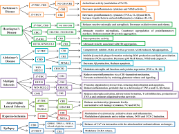 Image result for images of The Endocannabinoid System