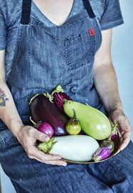 A Guide To Different Eggplant Varieties Kitchn