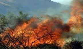 Jun 09, 2021 · το 2007, η κύκνος ανακαίνισε το εργοστάσιό στην ηλεία, επέκτεινε τις κτιριακές εγκαταστάσεις και ανανέωσε το μηχανολογικό της εξοπλισμό με υπερσύγχρονες γραμμές παραγωγής. San Shmera To 2007 Oi Fonikes Pyrkagies Sthn Hleia To Xroniko Mias Aneipwths Tragwdias Vid Newsbomb Eidhseis News