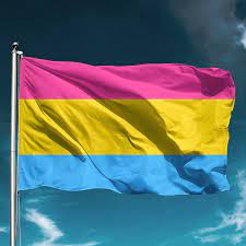 From pansexual to genderqueer, many louisville lgbtq folks and you may see a variety of flags during pride month.this includes, of course, the iconic rainbow flag that has. Pansexual Pride Flag Grand Rapids Pride Center