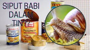 Makanan dalam tin is on facebook. 10 Makanan Dalam Tin Yang Pelik Dan Meloyakan Youtube