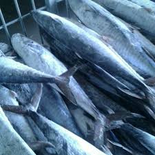 Gratis untuk komersial tidak perlu kredit bebas hak cipta. Ikan Tenggiri 3 Dimensi Jual Mr Kaleb Terbang Keripik Stik Ikan Tenggiri 3 Pack Online Februari 2021 Blibli Ikan Tenggiri Ini Merupakan Salah Satu Kerabat Dekat Ikan Tuna Tongkol Madidihang