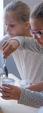 MAISON POUR LA SCIENCE EN LORRAINE