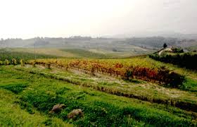 Risultati immagini per logo tenuta del cerro