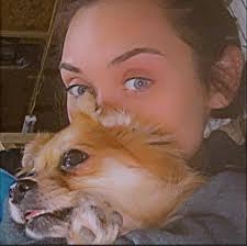 Meatball dog available for rescue in Ohio