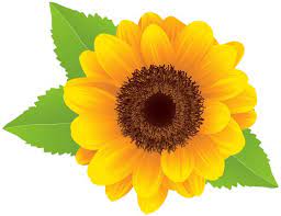 Sunflower Clip Art Clipartix Cliparting Com Sunflower Images Sunflower Png Sunflower Clipart