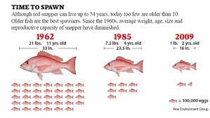 What is the best snapper to eat? The Plan To Save Red Snapper The Pew Charitable Trusts