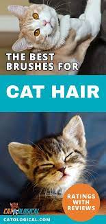 Cat Owners Everywhere Know How Important It Is To Keep A Cat S Hair Healthy And Shiny With Brushing Using The Wrong Or Poor Quality Cat Care Cats Cat Brushing