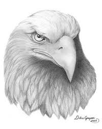 Bird With Wings Spread Drawing Easy Drawings By Debra Grayson Bird Drawings Eagle Drawing Eagle Sketch