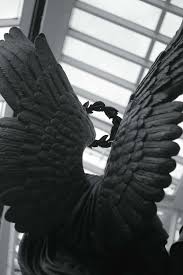 Black And White Angel Wings Aesthetic An Entry From Sr Buho Angel Aesthetic Black Aesthetic Black Angels