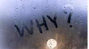 What's Your Why? The Key to Finding Your Purpose