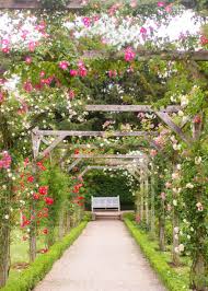 Parc De Bagatelle Rose Garden In Paris In 2020 Rose Garden Design Rose Garden Landscape Paris Garden