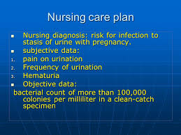 Based on the assessment data, major nursing diagnosis for patients with anemia include: Anemia Contents Contents 1 Introduction 2 Clinical Manifestiation 3 Degree Of Anemia 4 Causes Of Anemia 5 Anemia During Pregnancy 6 Types Ppt Download