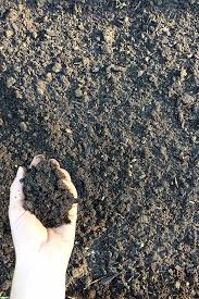 First, take a minute to appreciate garden soil. How To Test Soil In The Home Garden Gardener S Path