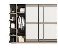 Wardrobe Customization Chongqing Tatami Bed Sliding Door Simple Cloakroom  Customization Whole House Factory Direct Sales