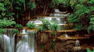 Download Wallpaper 1920x1080 Waterfall Rocks Grass Plants Full Hd 1080p Hd Background Waterfall Wallpaper Waterfall Pictures Waterfall