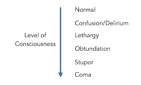 Image result for Coma Exam