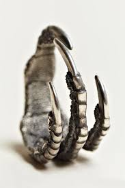Pin By Mackaylie Waardenburg On My Favorite Things Jewelry Claw Ring Beautiful Jewelry