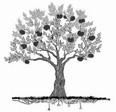 Nah, karena itulah kami sudah mencarikan koleksi terbaik mengenai gambar sketsa apel yang bisa sobat jadikan. 1000 Kumpulan Gambar Sketsa Pohon Yang Mudah Digambar