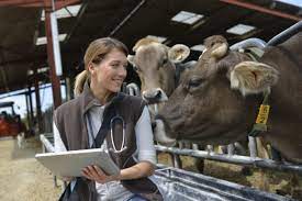 Veterinarian