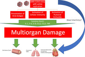 We did not find results for: Covid 19 And Myocarditis What Do We Know So Far Sciencedirect