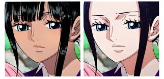 Ich gab Robin ihre Bräune und ihren Pony zurück : r/MemePiece