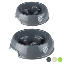 Slow feed bowls tend to be simple designs that provide just enough. Slow Feed Dog Bowl Me My Pets