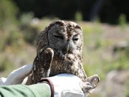 Fallece el empresario Abelardo Arcos Dabrio, pionero de los centros  comerciales en Huelva