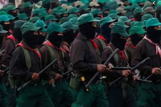 30 ans après, l'EZLN se retrouve face aux narcos