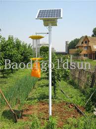 We did not find results for: China Portable Solar Insect Zapper Outdoor Solar Insect Light Trap China Solar Pest Killer And Solar Insect Killer Price