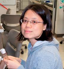 Cell and Developmental Biology