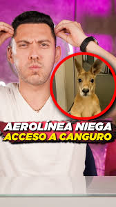 Aerolínea niega acceso a canguro bebé. ¿Qué opinas sobre esto?