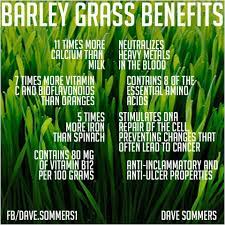 Pin By Barb Moore On Real Food Superfoods Barley Grass Barley Health Benefits Barley Nutrition