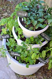 This symmetrical type of herb garden uses plants to create geometric designs and textures, such as a circle or square. Outdoor Herb Garden Ideas The Idea Room