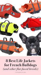 8 Best Life Jackets For French Bulldogs And Other Brachycephalic Dogs French Bulldog Dog Enrichment Bulldog
