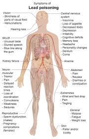 Environmental Toxins That Cause Kidney Disease And Failure