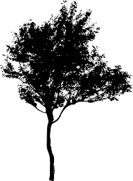 Check spelling or type a new query. 45 Tree Silhouettes Png Transparent Background Onlygfx Com