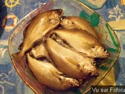 Record de congre à Audierne : Techniques de pêche et conseils - Capitaine  Jack