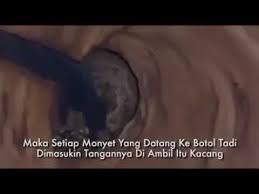 Kata kata buat pacar tersayang yang menggambarkan kondisi percintaanmu Kata Kata Sindiran Buat Orang Serakah Harta Keajaiban Kata Kata